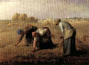 The Gleaners